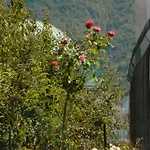 Horizontes Azules Appartamento *