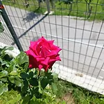 Appartamento Horizontes Azules Konjic