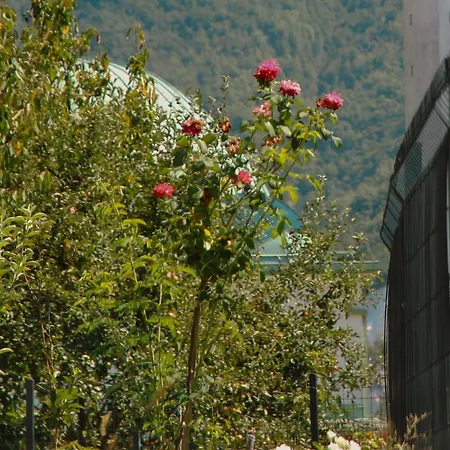 Horizontes Azules Appartement *