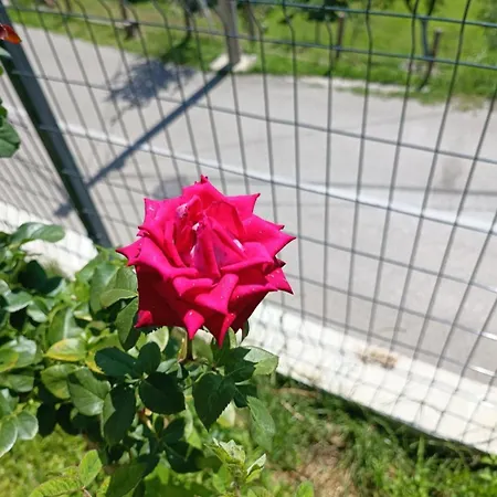 Apartament Horizontes Azules Konjic